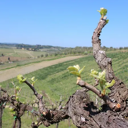 Bio Podere Pretoia